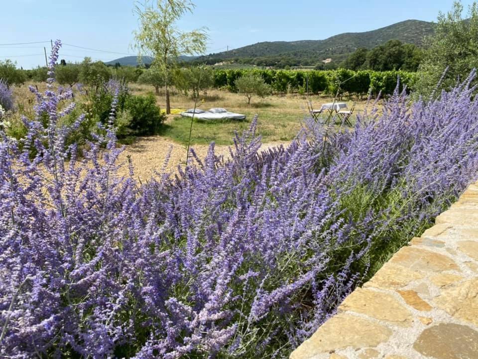 Maison D'Hotes Bastide St Victor A 2,5 Kilometres De Lourmarin Puyvert Exterior foto